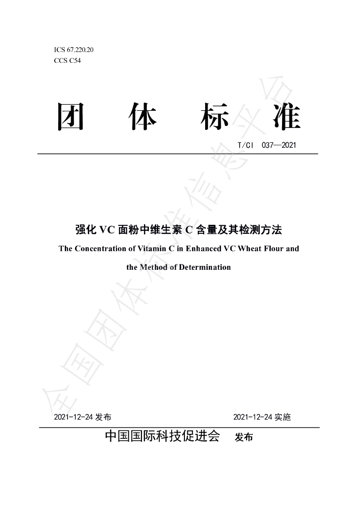 T/CI 037-2021 标准预览
