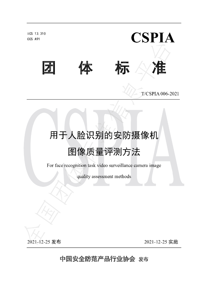 T/CSPIA 006-2021 标准预览