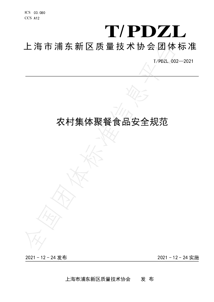 T/PDZL 002-2021 标准预览