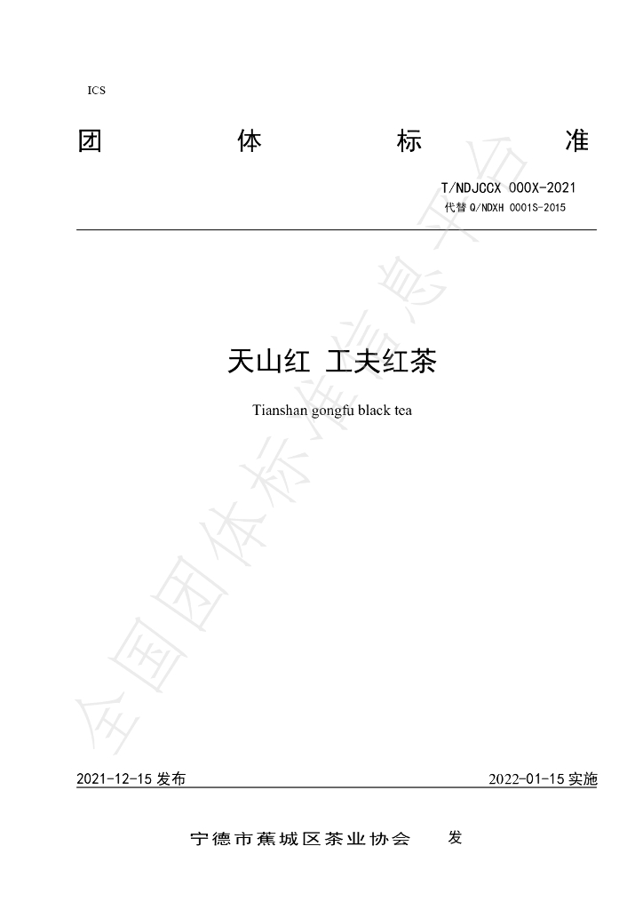 T/NDJCCX 003-2021 标准预览