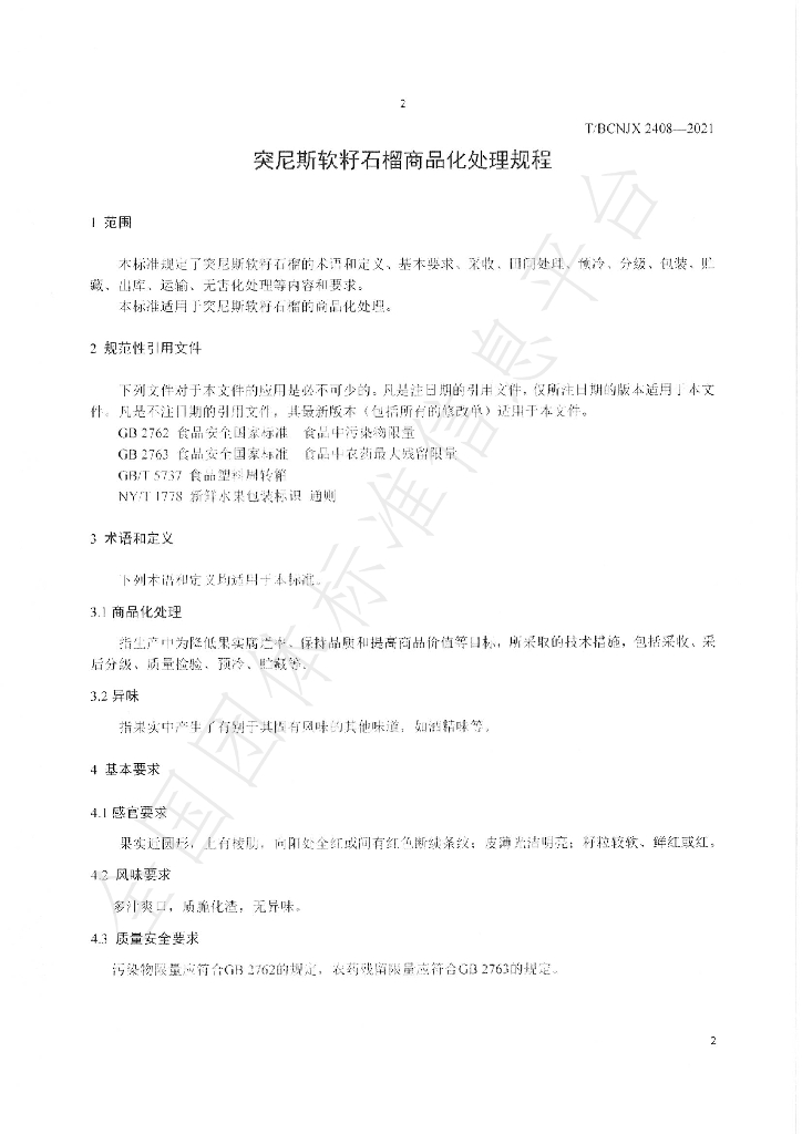 T/BCNJX 2408-2021 标准预览