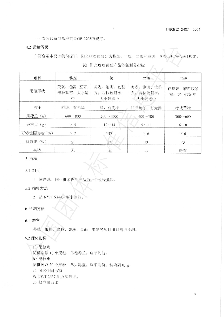 T/BCNJX 2407-2021 标准预览