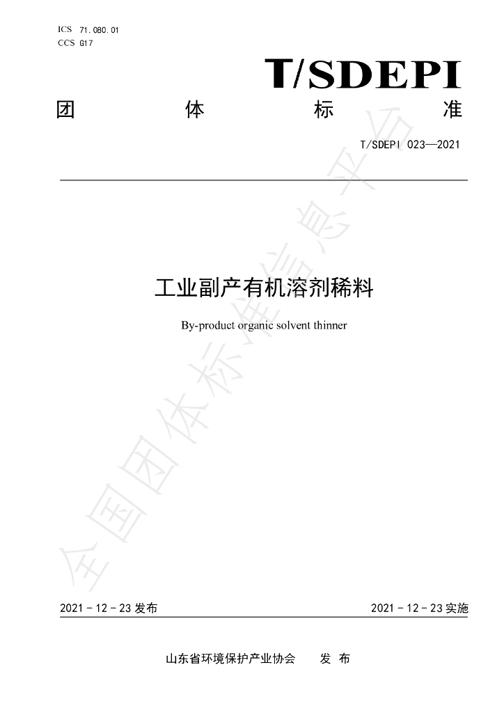T/SDEPI 023-2021 标准预览