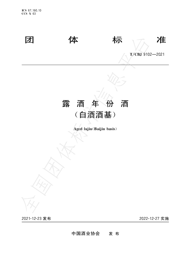 T/CBJ 9102-2021 标准预览