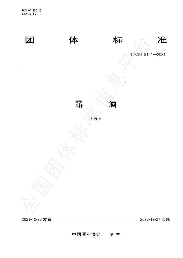 T/CBJ 9101-2021 标准预览
