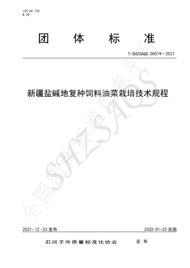 T/SHZSAQS 00019-2021 标准预览