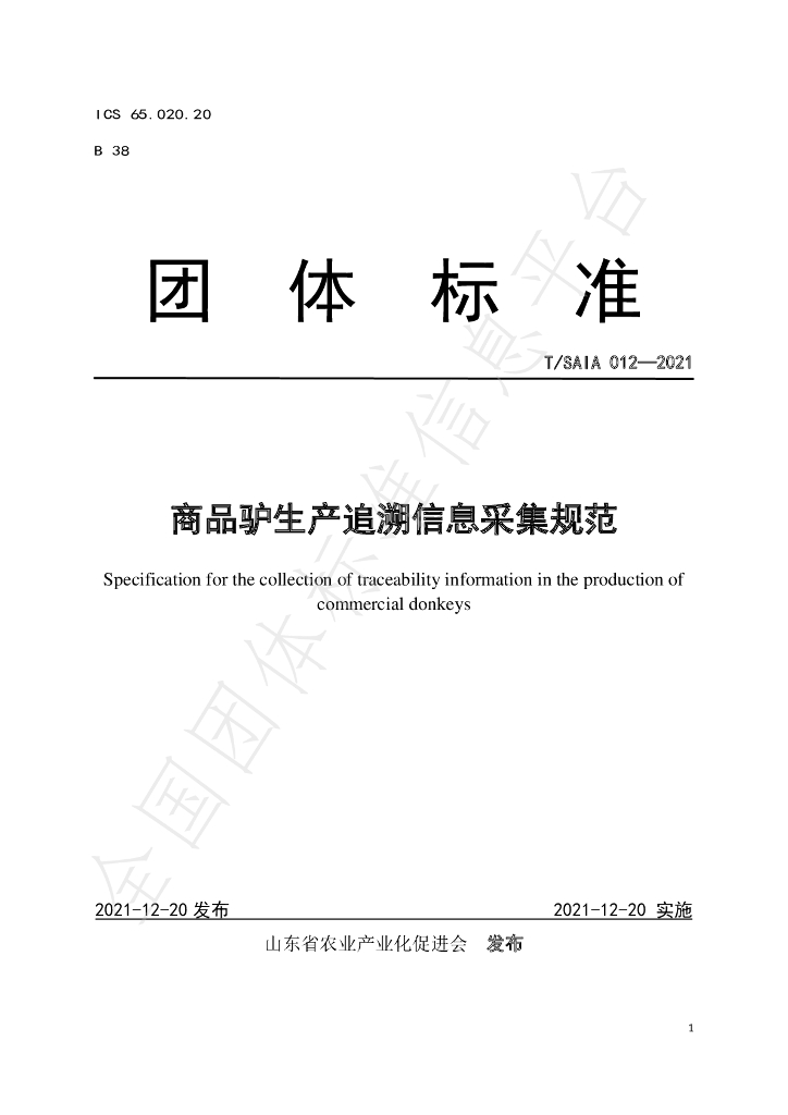 T/SAIA 012-2021 标准预览