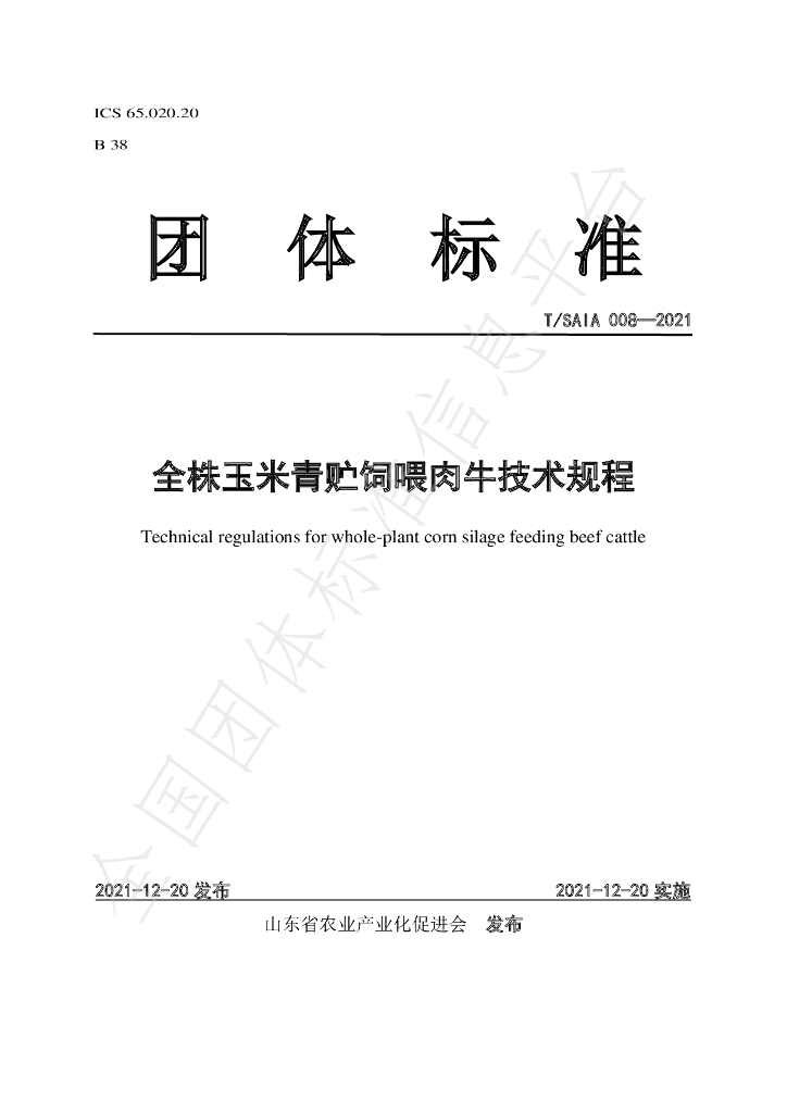 T/SAIA 008-2021 标准预览