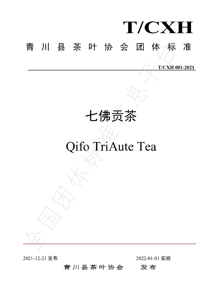 T/CHX 001-2021 标准预览