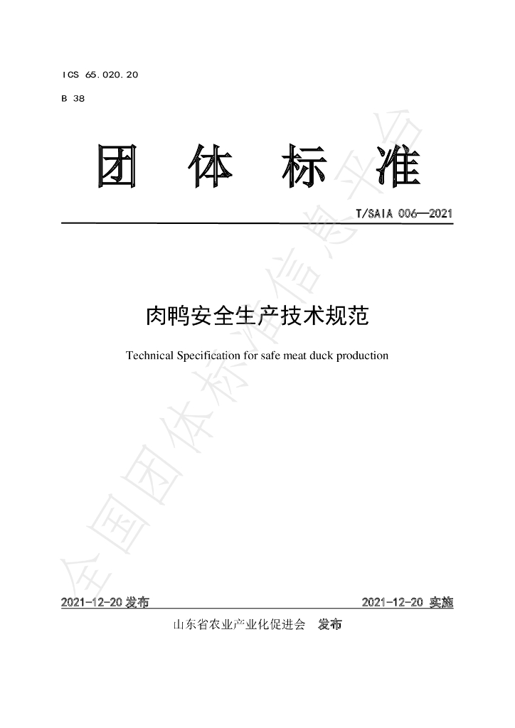T/SAIA 006-2021 标准预览