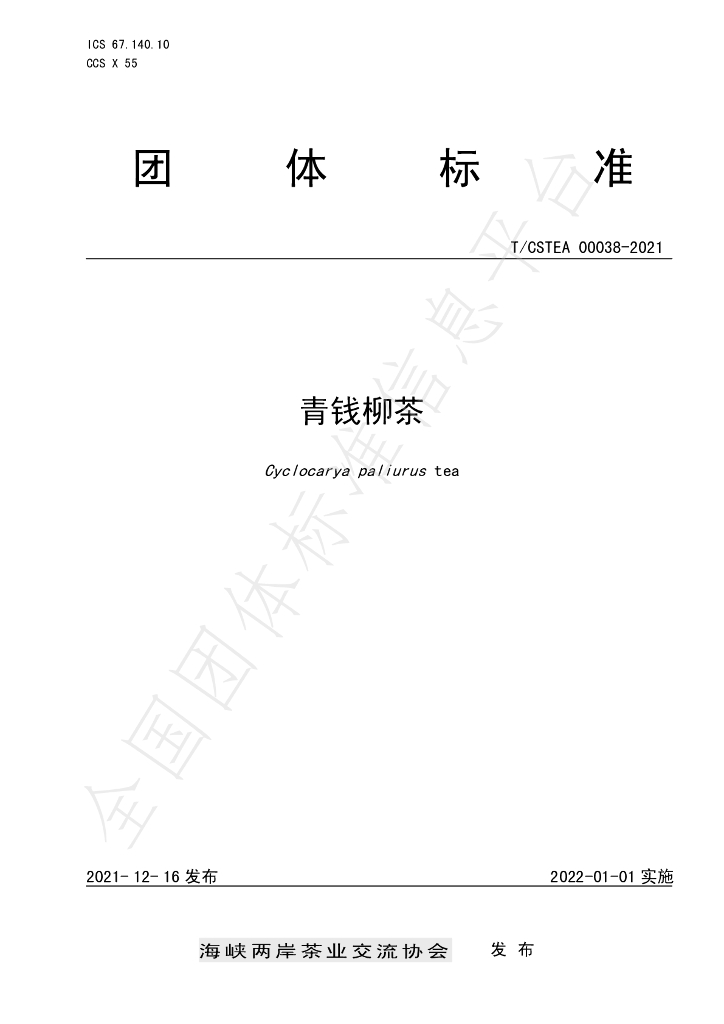 T/CSTEA 00038-2021 标准预览
