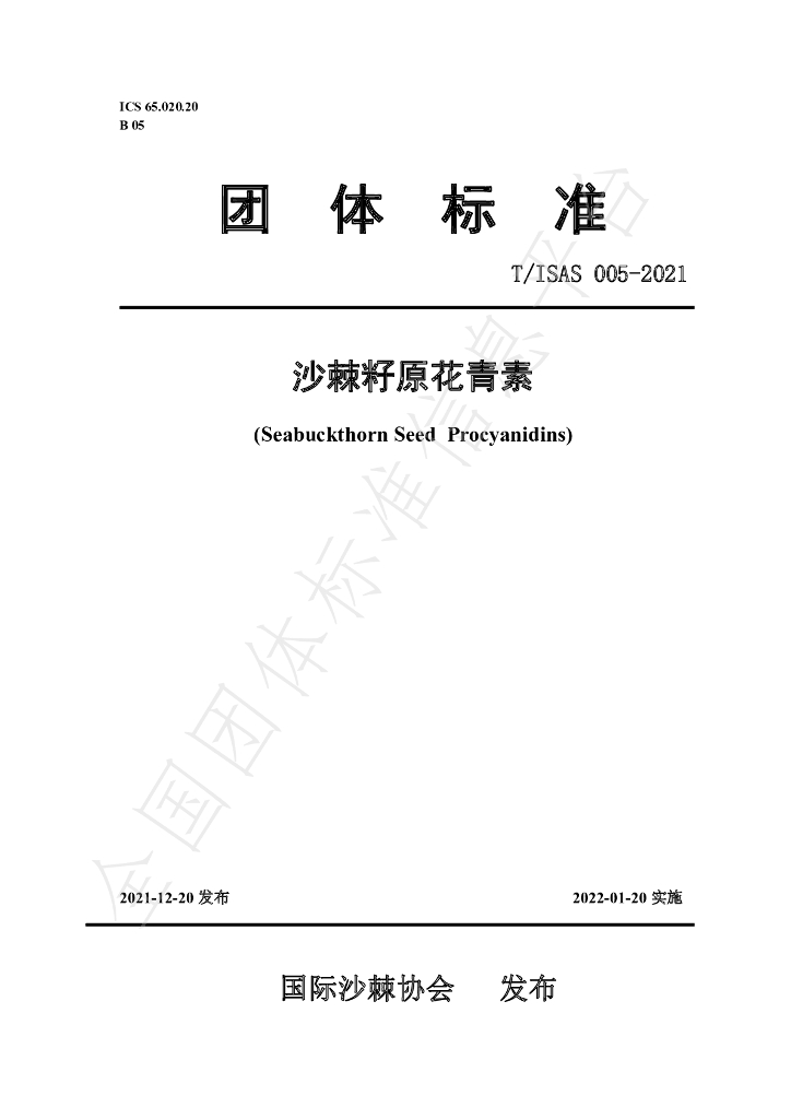 T/ISAS 005-2021 标准预览