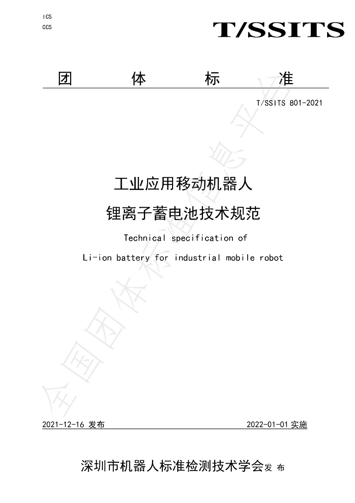 T/SSITS 801-2021 标准预览