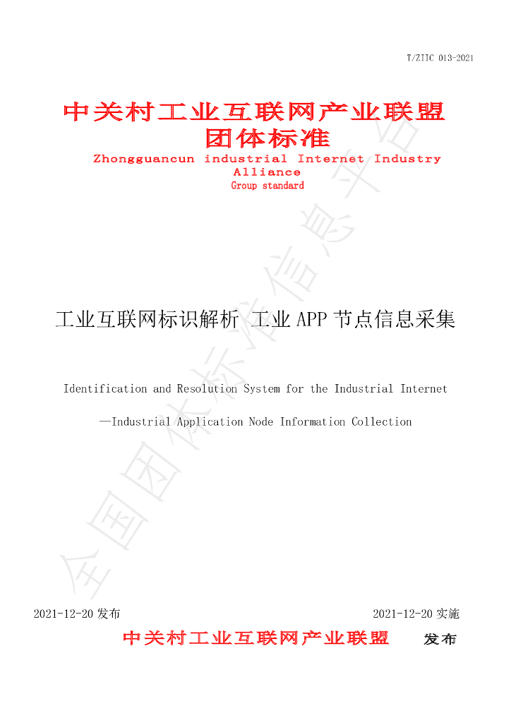 T/ZIIC 013-2021 标准预览