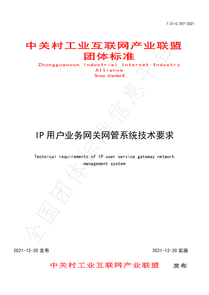 T/ZIIC 007-2021 标准预览