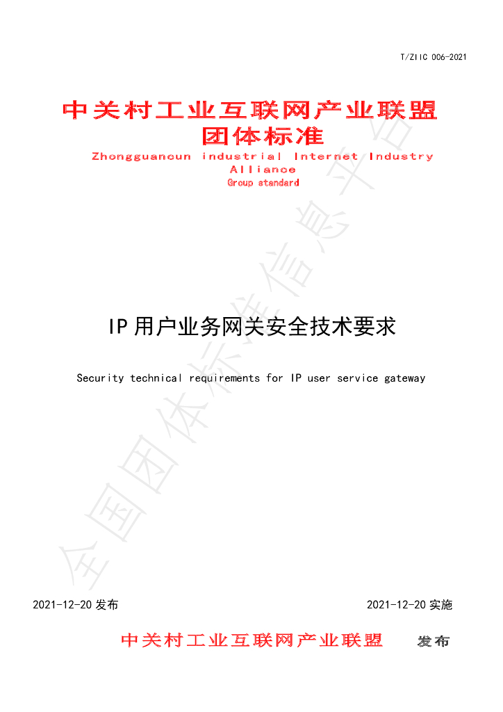 T/ZIIC 006-2021 标准预览