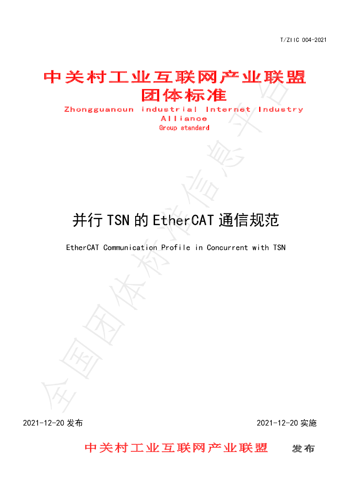 T/ZIIC 004-2021 标准预览