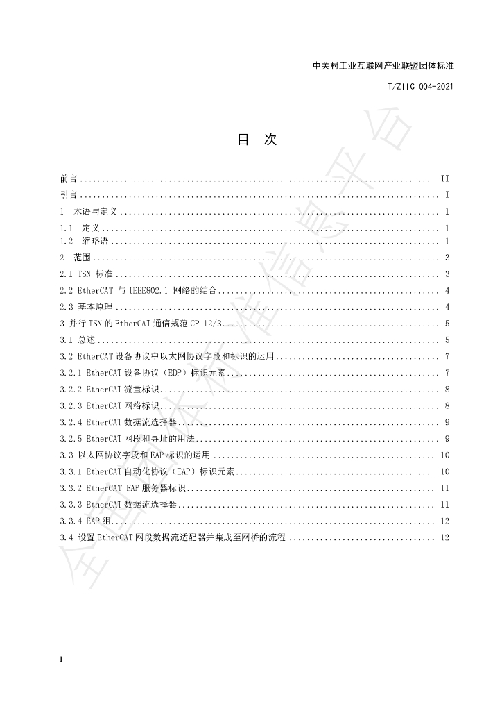 T/ZIIC 004-2021 标准预览