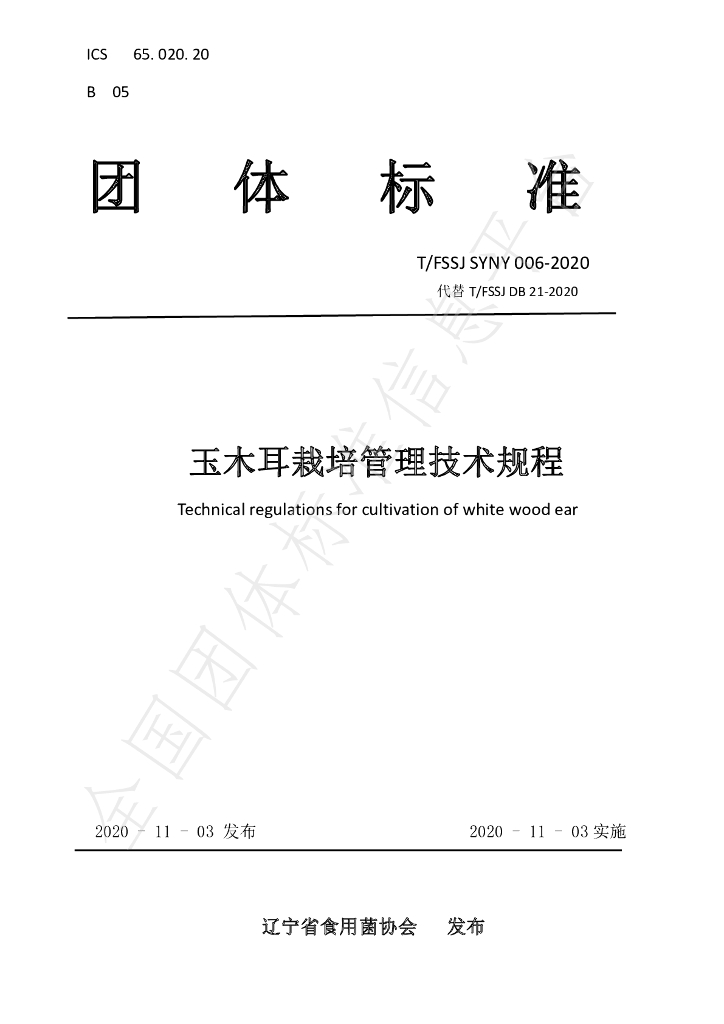 T/FSSJ SYNY06-2020 标准预览
