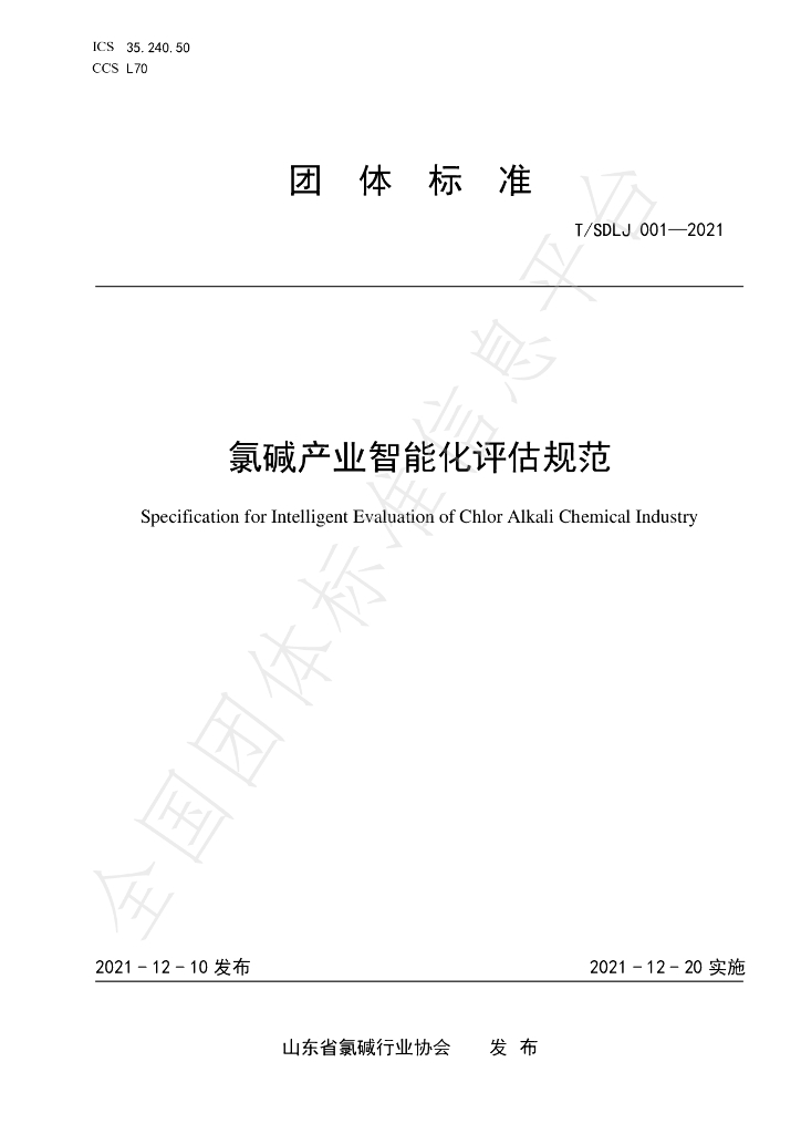 T/SDLJ 001-2021 标准预览
