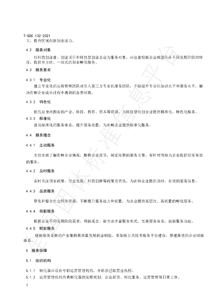 T/GDC 132-2021 标准预览