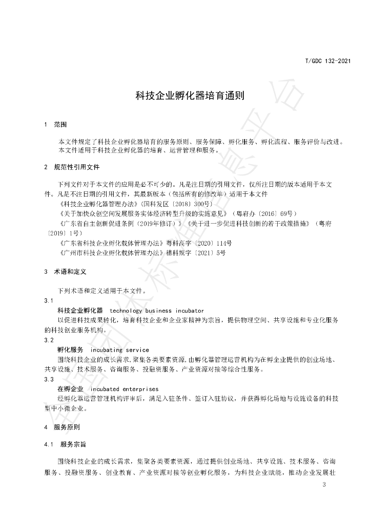 T/GDC 132-2021 标准预览