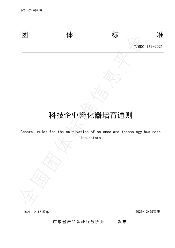 T/GDC 132-2021 标准预览