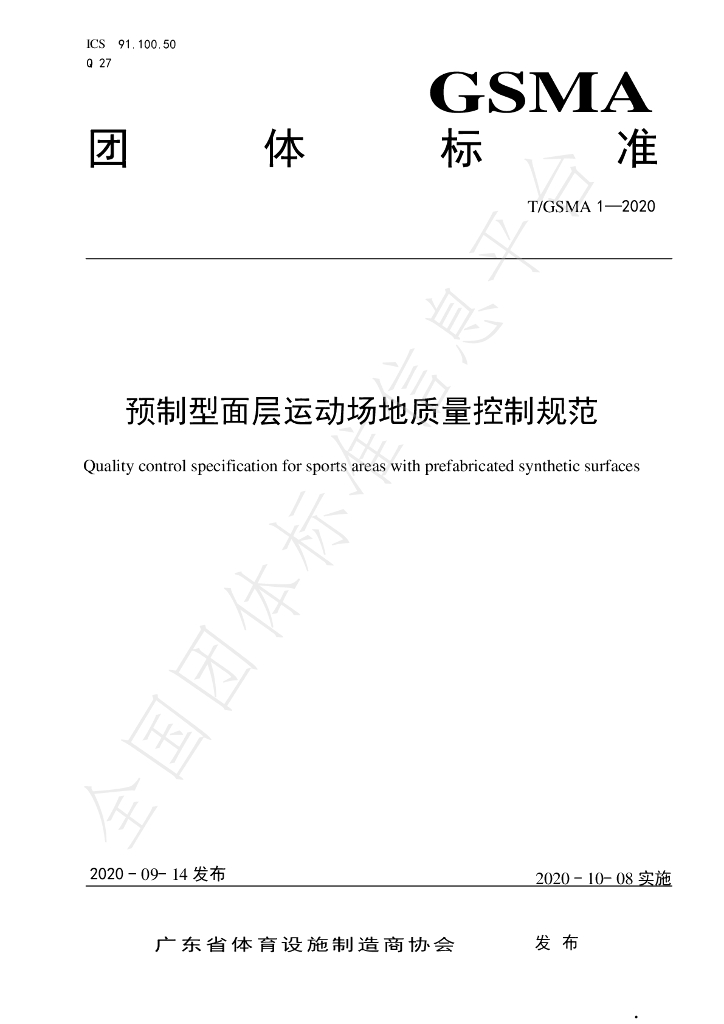 T/GSMA 1-2020 标准预览