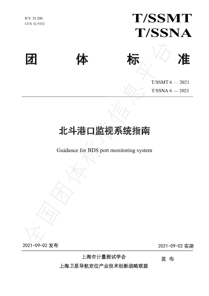 T/SSMT 6-2021 标准预览