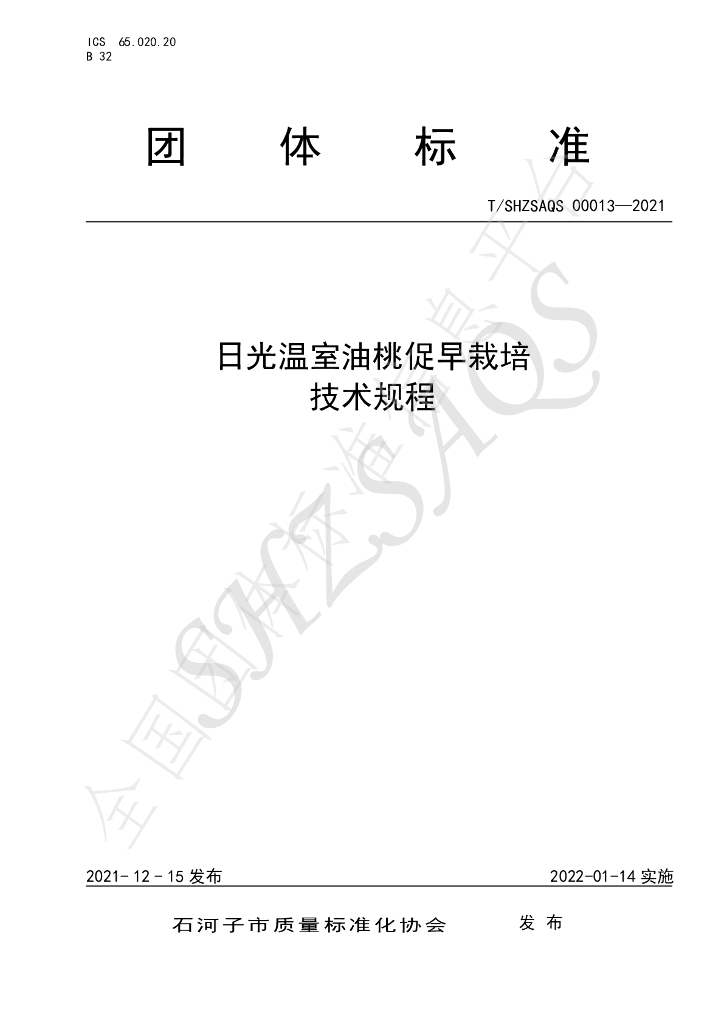 T/SHZSAQS 00013-2021 标准预览