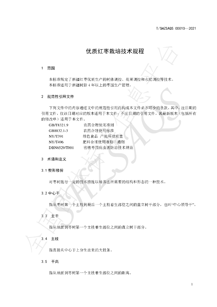 T/SHZSAQS 00010-2021 标准预览