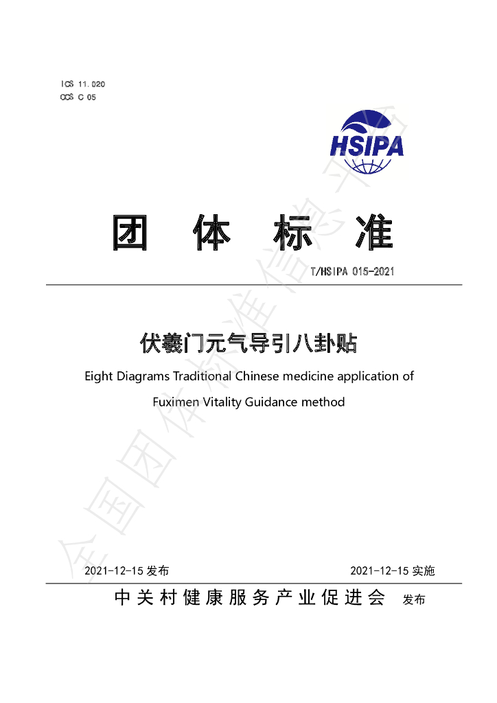 T/HSIPA 015-2021 标准预览