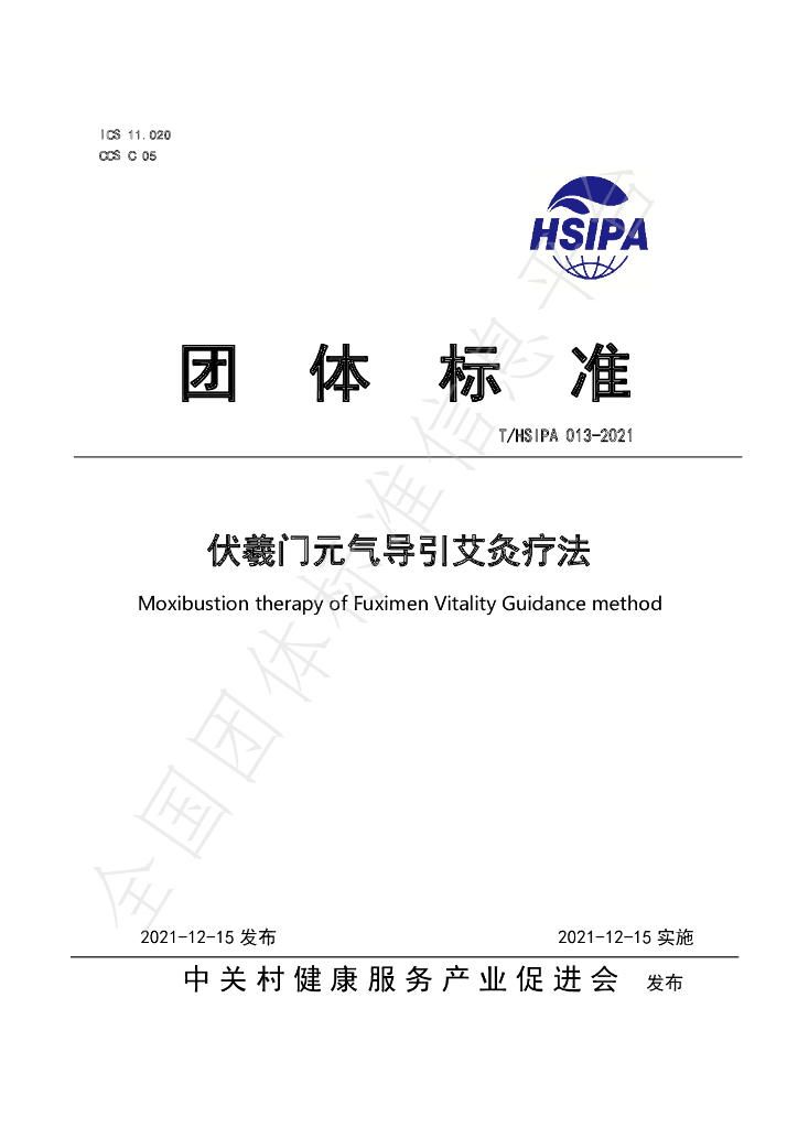 T/HSIPA 013-2021 标准预览