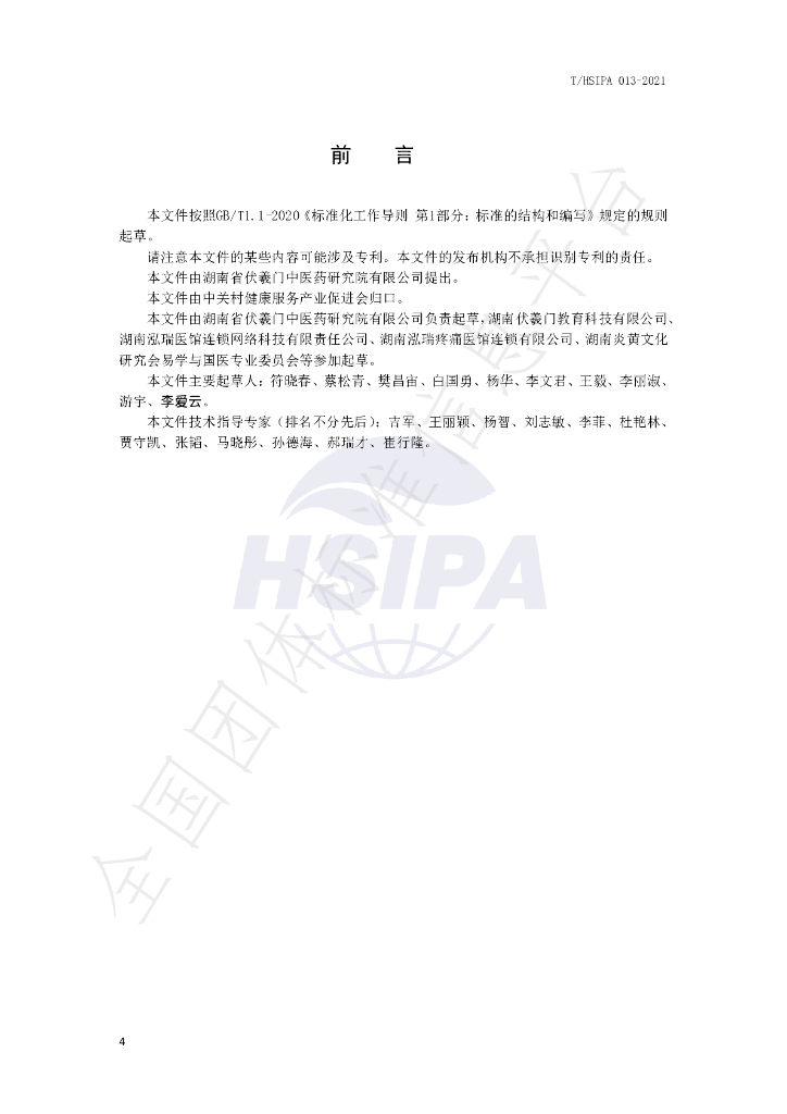 T/HSIPA 013-2021 标准预览