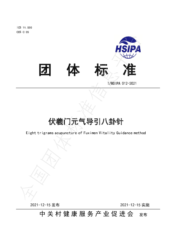 T/HSIPA 012-2021 标准预览