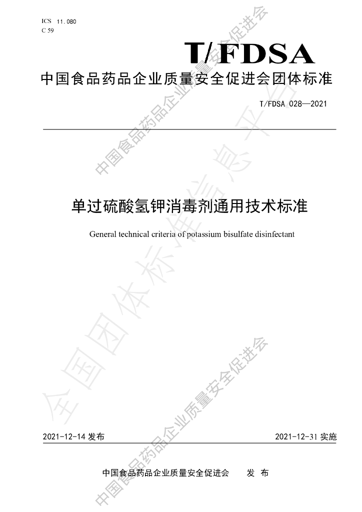 T/FDSA 028-2021 标准预览