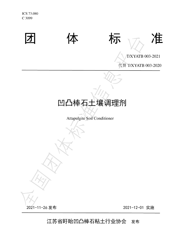 T/XYATB 003-2021 标准预览