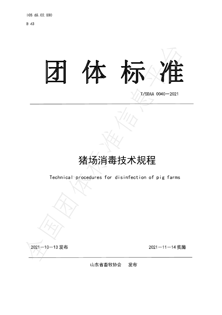 T/SDAA 0040-2021 标准预览