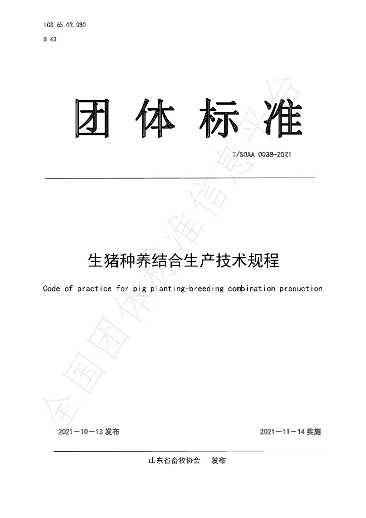 T/SDAA 0038-2021 标准预览