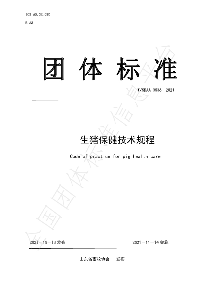 T/SDAA 0036-2021 标准预览