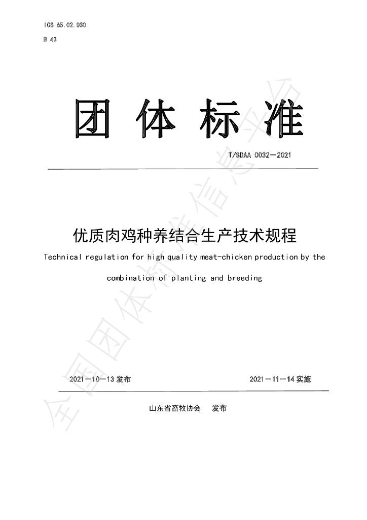 T/SDAA 0032-2021 标准预览