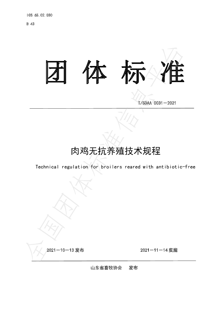 T/SDAA 0031-2021 标准预览
