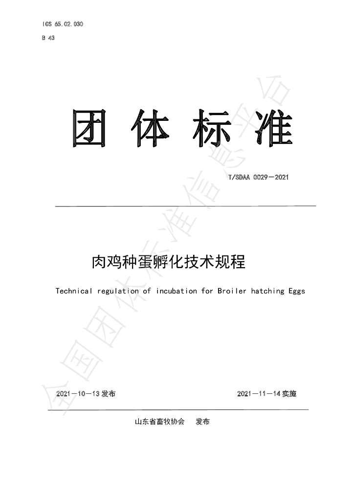 T/SDAA 0029-2021 标准预览