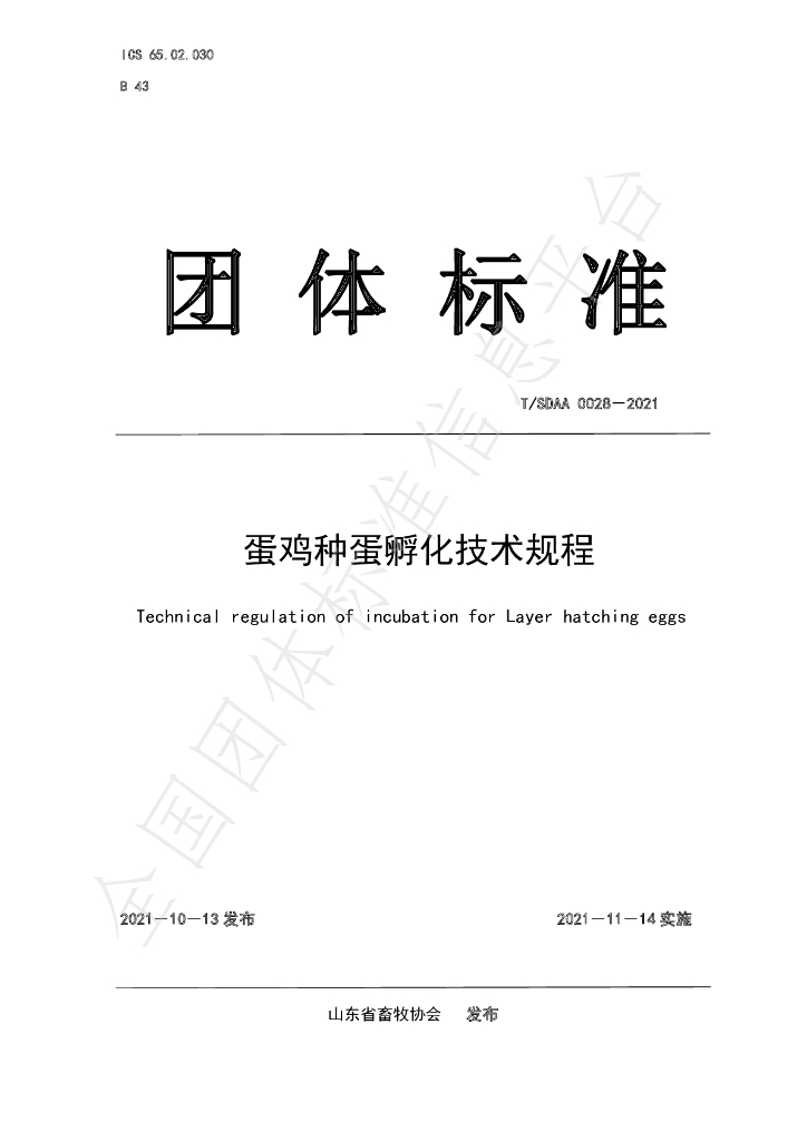 T/SDAA 0028-2021 标准预览