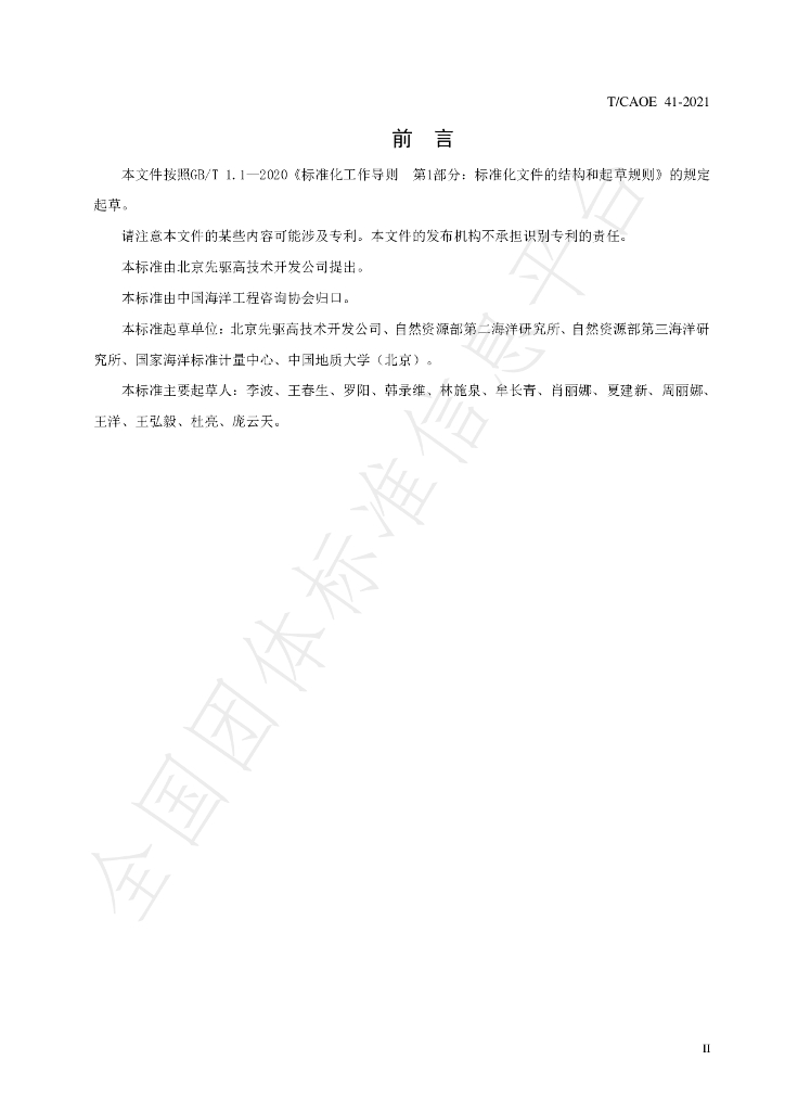 T/CAOE 41-2021 标准预览