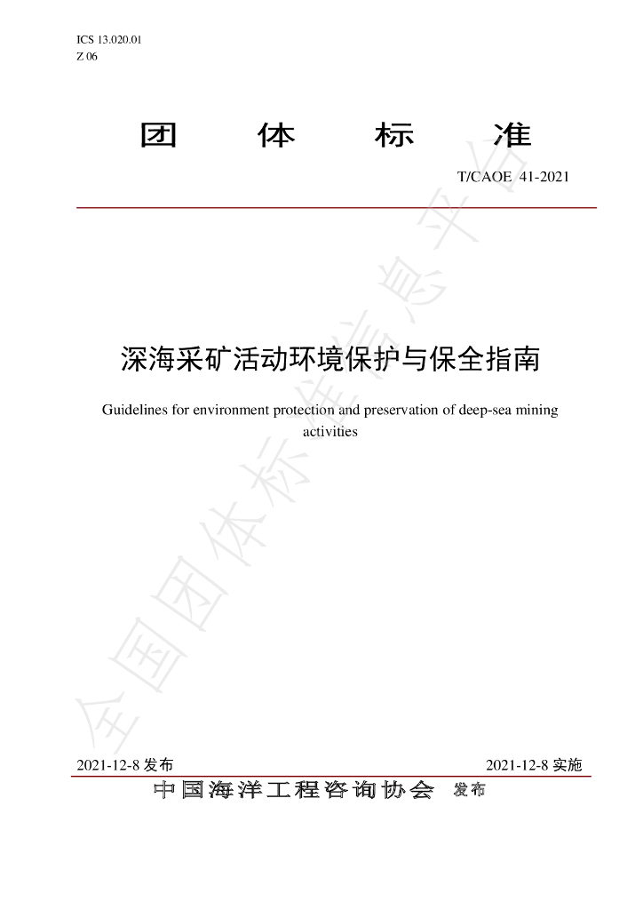 T/CAOE 41-2021 标准预览