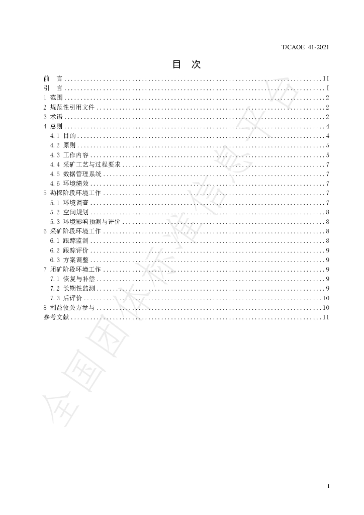 T/CAOE 41-2021 标准预览