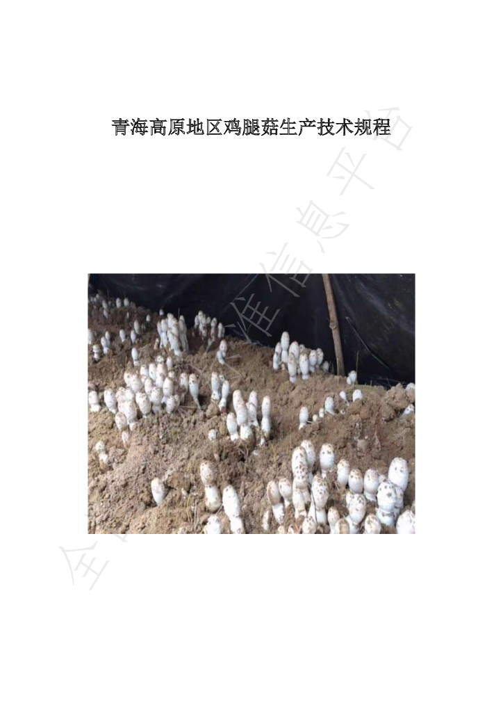 T/QHJLXH 003-2021 标准预览