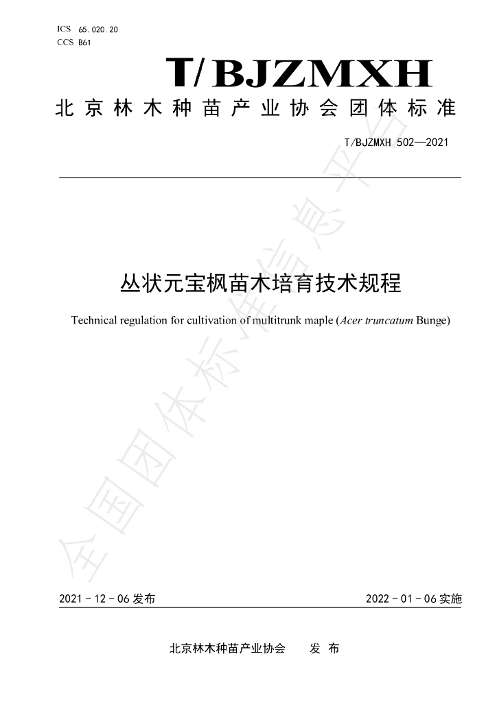 T/BJZMXH 502-2021 标准预览