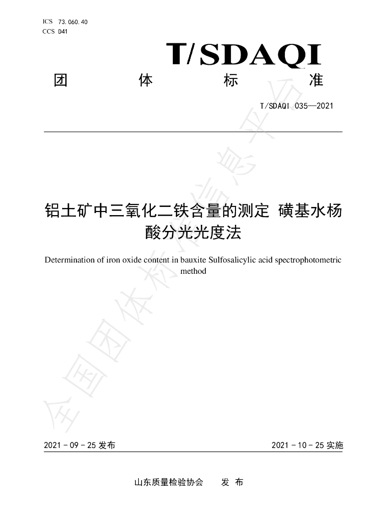 T/SDAQI 035-2021 标准预览